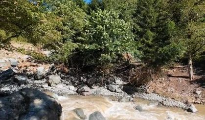 Tarihi taş köprü selde yıkıldı