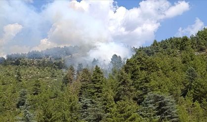 Burdur'da orman yangını çıktı