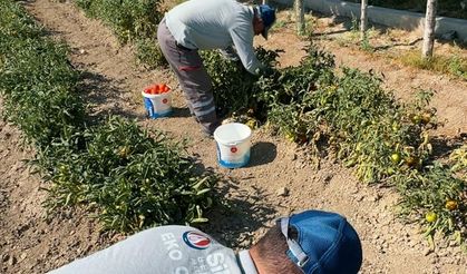 Sincan Belediyesi'nden İhtiyaç Sahiplerine Yardım!