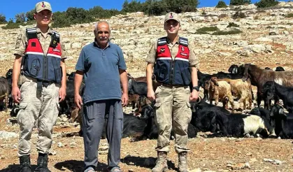 Kilis'te 100 küçükbaş hayvan bulundu