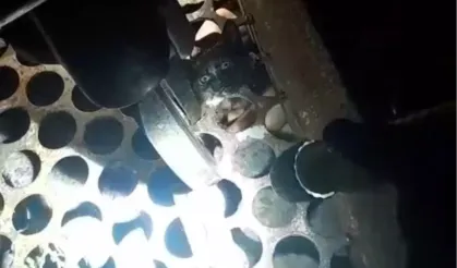 Kozlu’da Mazgala Sıkışan Kedi ‘Mazgal’ Adıyla Hayata Döndü