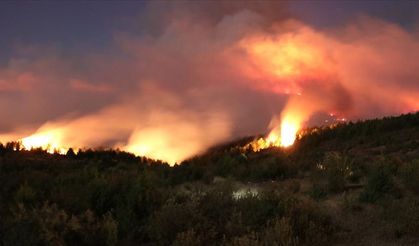 Kastamonu Valiliği'nden Orman Yangını Açıklaması