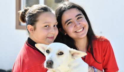 Öğrencilerden Patili Dostlara Sevgi Dolu Ziyaret