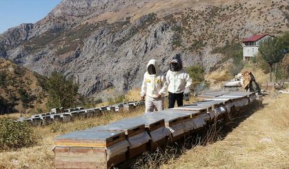 Bitlis’te Yalnız Yaşayan Aile Yılda 2,5 Ton Bal Üretiyor