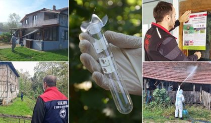 Sakarya'da kahverengi kokarca sıkı takipte!