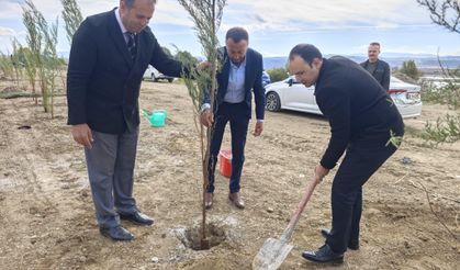Sivas Gölova'ya yürüyüş yolu yapılıyor