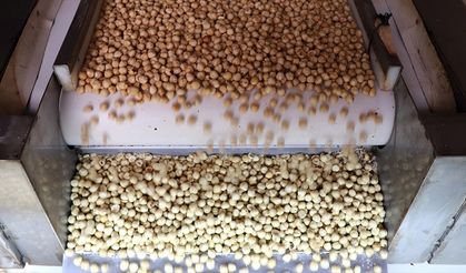 Türkiye fındık ihracatında rekor kırdı