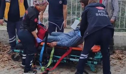 Aydın’da Feci Kaza: Kamyonet Uçuruma Yuvarlandı