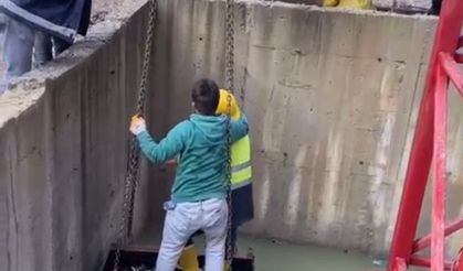 Bartın'da İnşaat Çukuruna Düşen Tilki İşçiler Tarafından Kurtarıldı