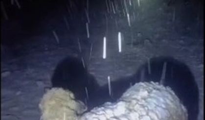 Bingöl'e kar yağdı!