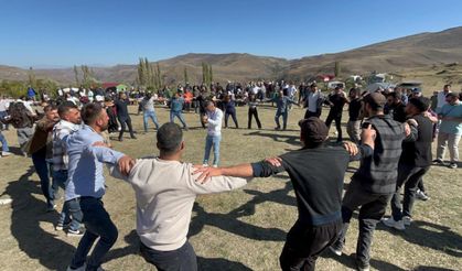 Cancur eriğinde hasat, festival ile başladı