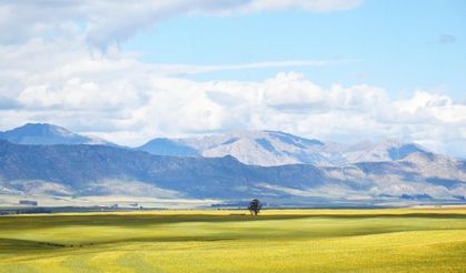 'Magmatik kayaçlardan oluşan zeminler deprem etkisini sınırlıyor'