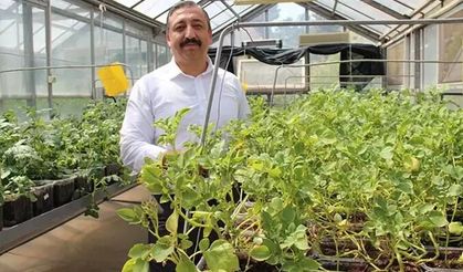 Niğde’de Havada, Suda ve Toprakta Yerli Patates Üretimi