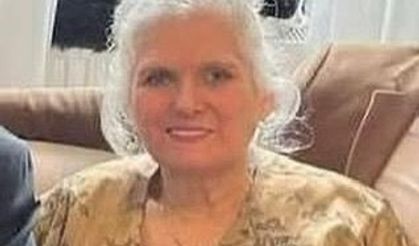 Otomobil, evin duvarına çarptı