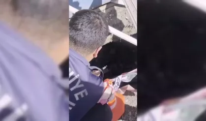 Osmaniye'de yavru kedi kurtarıldı