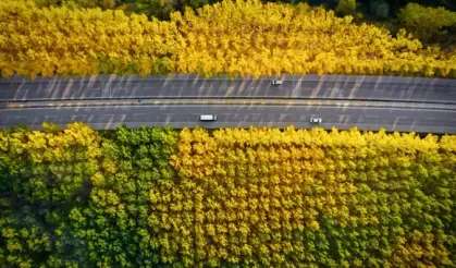 Sakarat Yaylası’nda Sonbahar Büyüsü Havadan Görüntülendi