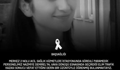 Kamyonetin çarptığı Nazmiye kurtarılmadı!