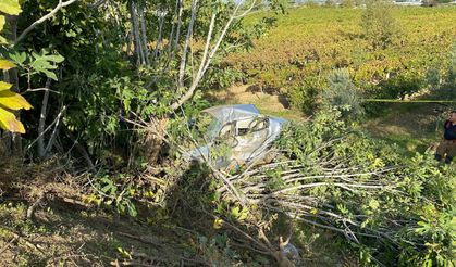 Otomobil tarlaya yuvarlandı, sürücü öldü!