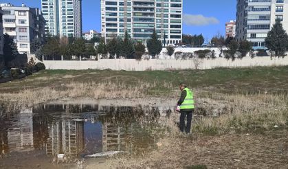 Yenimahalle'de Karasinek ve Sivrisineklere müdahale!