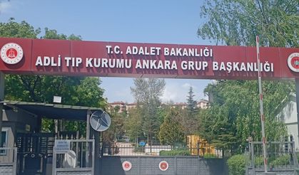 Nallıhan’da Kardeş Kavgası Cinayetle Bitti