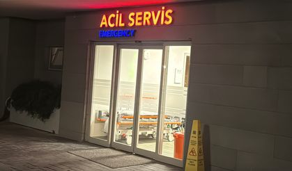 Zülfü Livaneli'nin eşi yaralandı