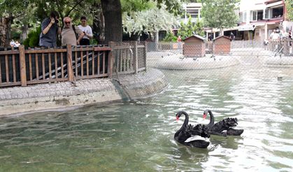 Cezaevinden Kuğulu Park’a Mesaj!