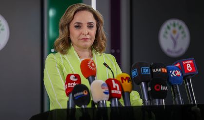 DEM Parti'li Doğan'dan Çerçeve Yasa Çıkışı: "Etkileri Kalıcı Olmalı"