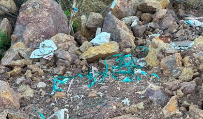 Hacettepe Beytepe Ormanı’nda hafriyat iddiası: İnşaat atıkları ormana mı dökülüyor?