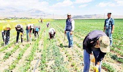 İSAF’tan Yaz Sıcağı Alarmı: Çalışan Sağlığı İhmal Edilmemeli