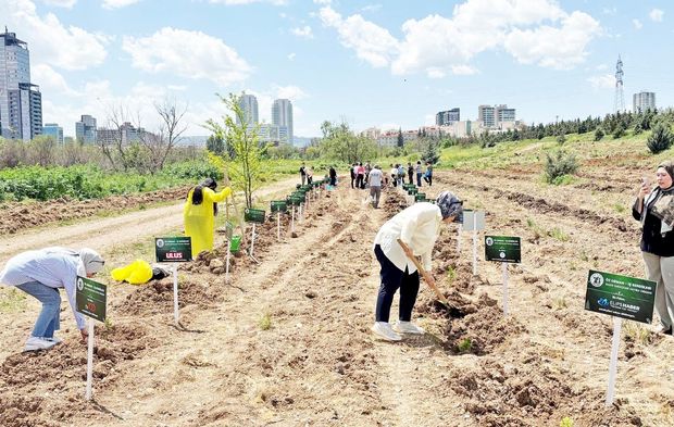 Medya Çalışanları İçin “Hatıra Ormanı” Oluşturuldu