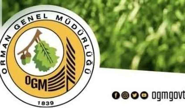 2024 YILI ANKARA ORMAN İŞLETME MÜDÜRLÜĞÜNE BAĞLI ÇUBUK VE AYDOS ORMAN İŞLETME ŞEFLİKLERİ MUHTELİF KOD NOLU YOLLARDA SANAT YAPISI YAPIM İŞİ