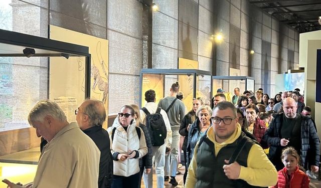 Göbeklitepe Sergisine Uluslararası İlgi Artıyor