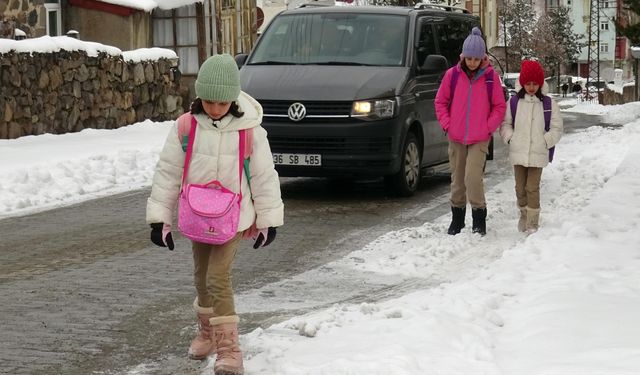Kars ile Ağrı'da kar ve soğuk hava