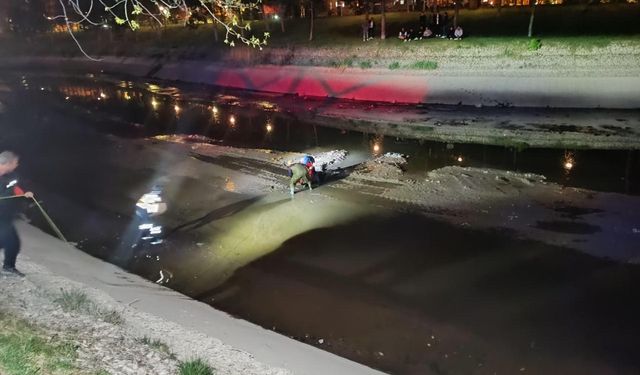Porsuk Çayı'na düştü