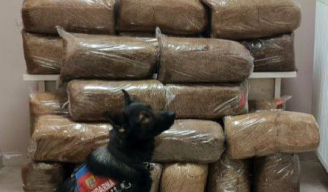 Tomarza'da 228 kilo kaçak tütün yakalandı