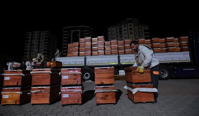 Üreticilere arılı kovan dağıtıldı