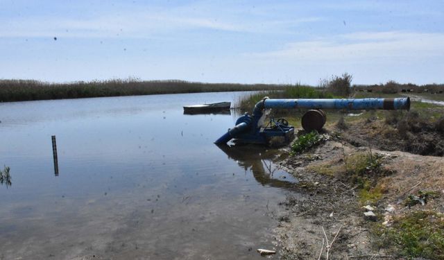 'Gediz Nehri'nin kirliliği vatandaşları endişelendiriyor