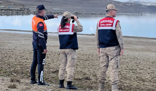 İnci kefali denetimine çıktılar