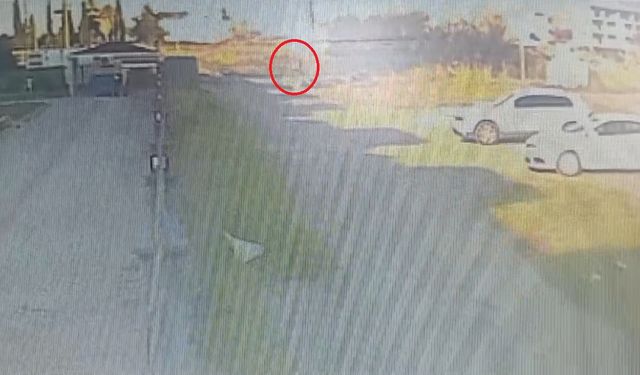 Köpeklerin saldırısına uğradı
