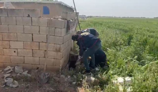 Telefon dolandırıcılığı operasyonu; 5 tutuklama