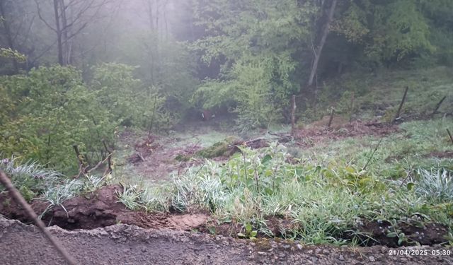 Trabzon’da feci kaza: 2 ölü