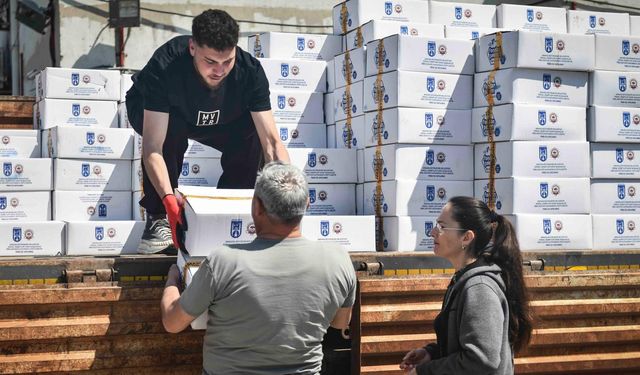 Ankara Büyükşehir'den 'arı yemi' desteği!