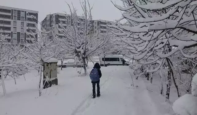 Muş’ta eğitime ara verildi