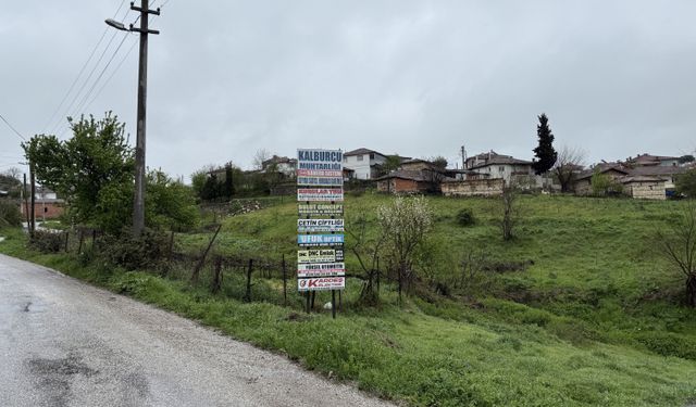 Çanakkale'nin Çan ve Biga ilçelerinde şap hastalığı!