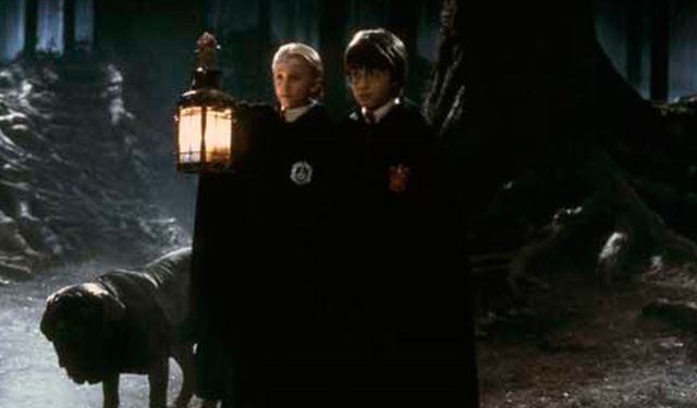 Harry Potter dizisinin oyuncu kadrosu belli oldu!