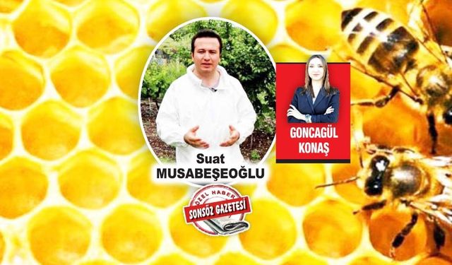 Bal üretiminde düşüş zincirleme etki yaratıyor