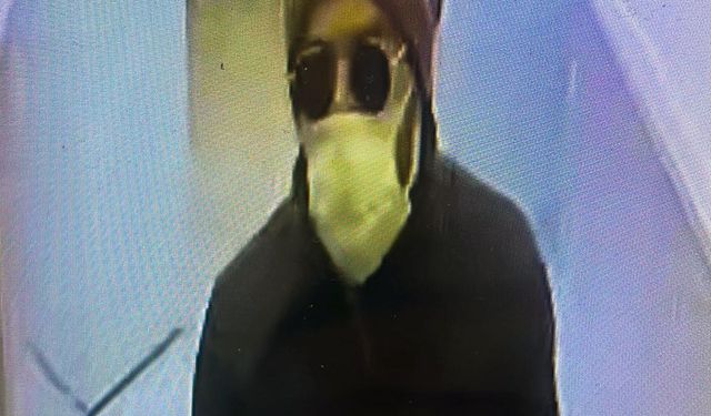 İki kardeşi öldüren şüpheli tutuklandı