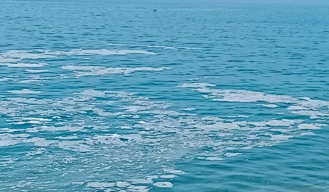 Marmara'da müsilaj!