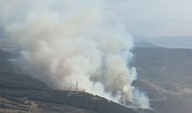 Aliağa'da orman yangını