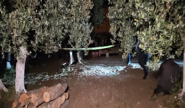 Bağ evinde baltayla öldürüldü